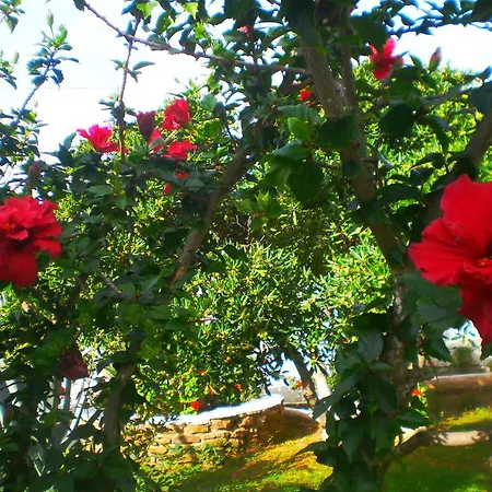 Appartamento Paros Rita