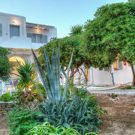 Apartment Paros Rita *