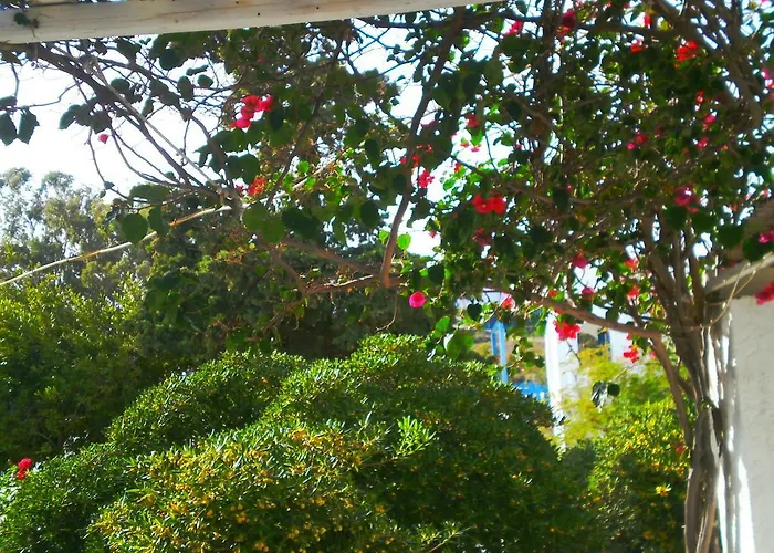 Paros Rita * Piso Livadi