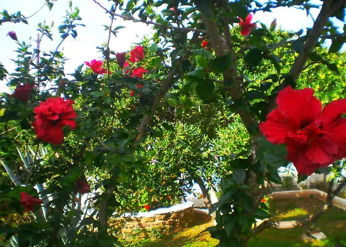 Apartmán Paros Rita