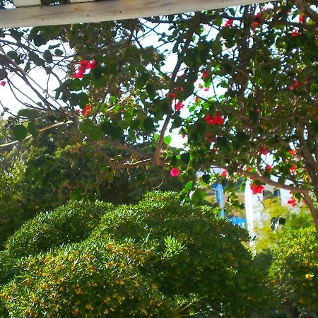 Paros Rita * Piso Livadi